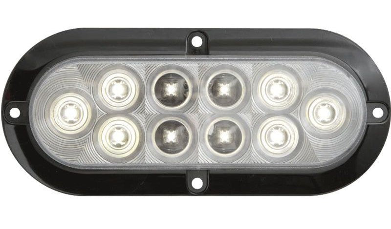 LED backup light in 6-inch oval clear lens with 10D flange mount, designed for trailer electrical and lighting applications.